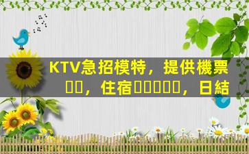 KTV急招模特，提供機票，住宿，日結
